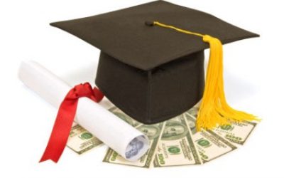 Seedling Scholarships 2025
